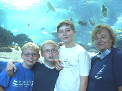 ierre, René, Henrik und Gerda bei den  Haifischen