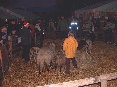 Tiere auf dem Weihnachtsmarkt